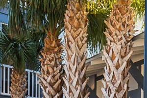 The Beach House Community Bike Share Program